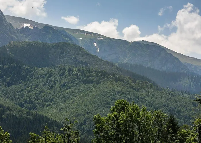Apartment Chalubinskiego In Zakopane By Rent Like Home