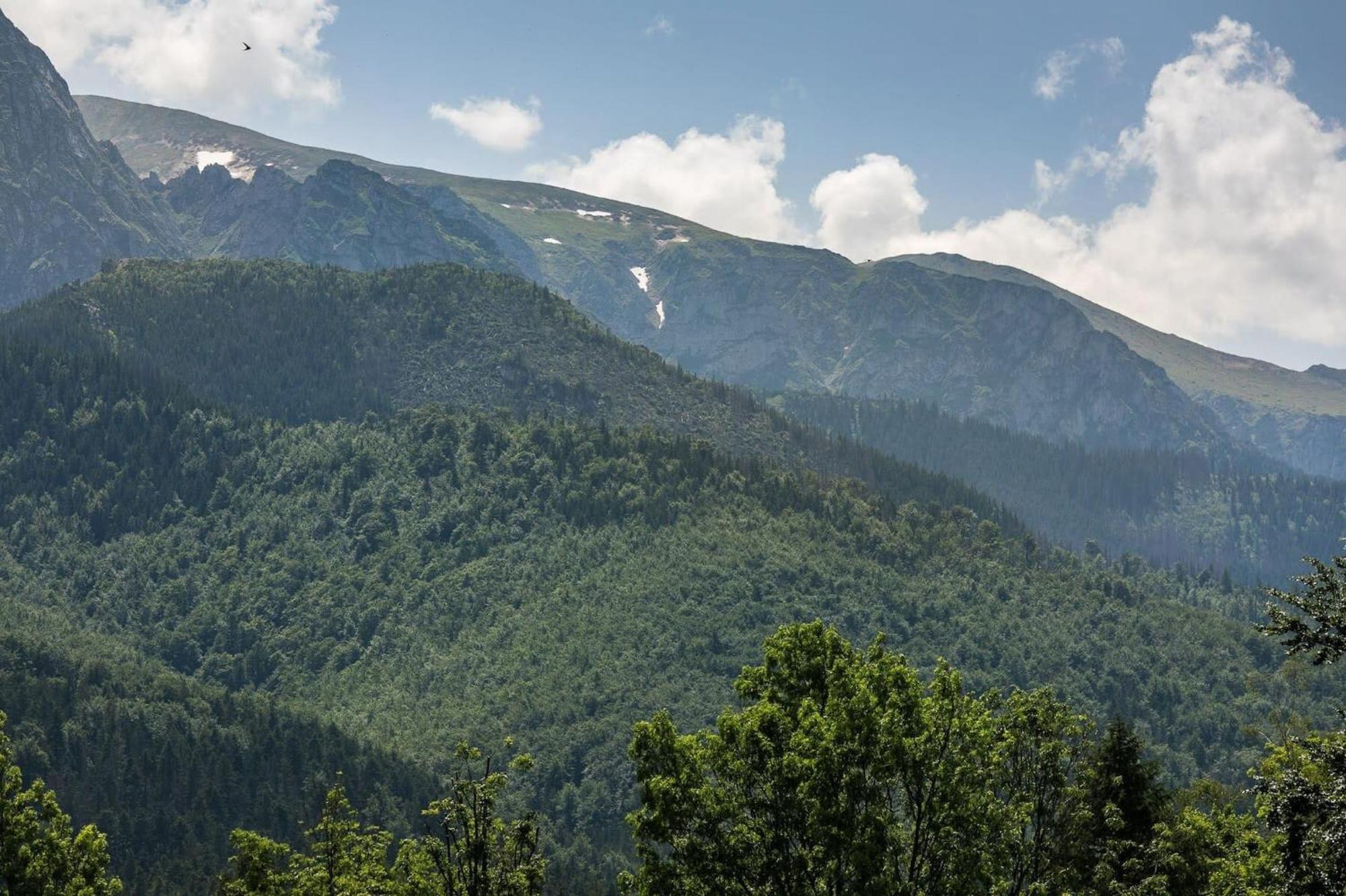 Apartament Chalubinskiego In By Rent Like Zakopane